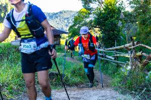 BIB: 9362
                            <button type="button" onclick="openModal(19045310)" class="btn btn-primary btn-sm float-right btn-popup" data-toggle="modal" data-target=".modal-high-quality">
                        <i class="fas fa-shopping-cart"></i> Add to Cart
                    </button>
                                            <button type="button" onclick="isThisMe(19045310, true)" class="btn btn-success btn-sm float-right btn-popup btn-isme hidden" data-toggle="tooltip" data-placement="bottom" title="นี่คือรูปของคุณใช่ไหม คลิกที่นี่เพื่อเอาเข้าอัลบั้ม">
                        <i class="fas fa-plus"></i> Add to album
                    </button>
                    <button type="button" onclick="isThisMe(19045310, false)" class="btn btn-warning btn-sm float-right btn-popup btn-isnotme hidden">
                        <i class="fas fa-ban"></i> Remove from album
                    </button>